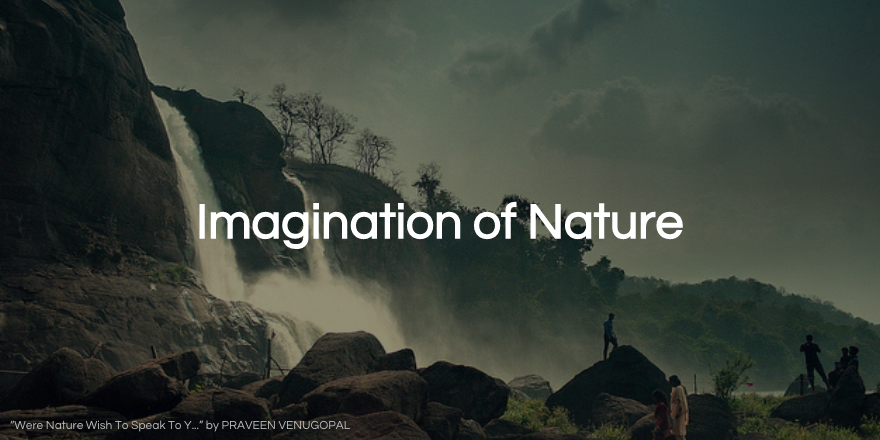 Imagination of Nature